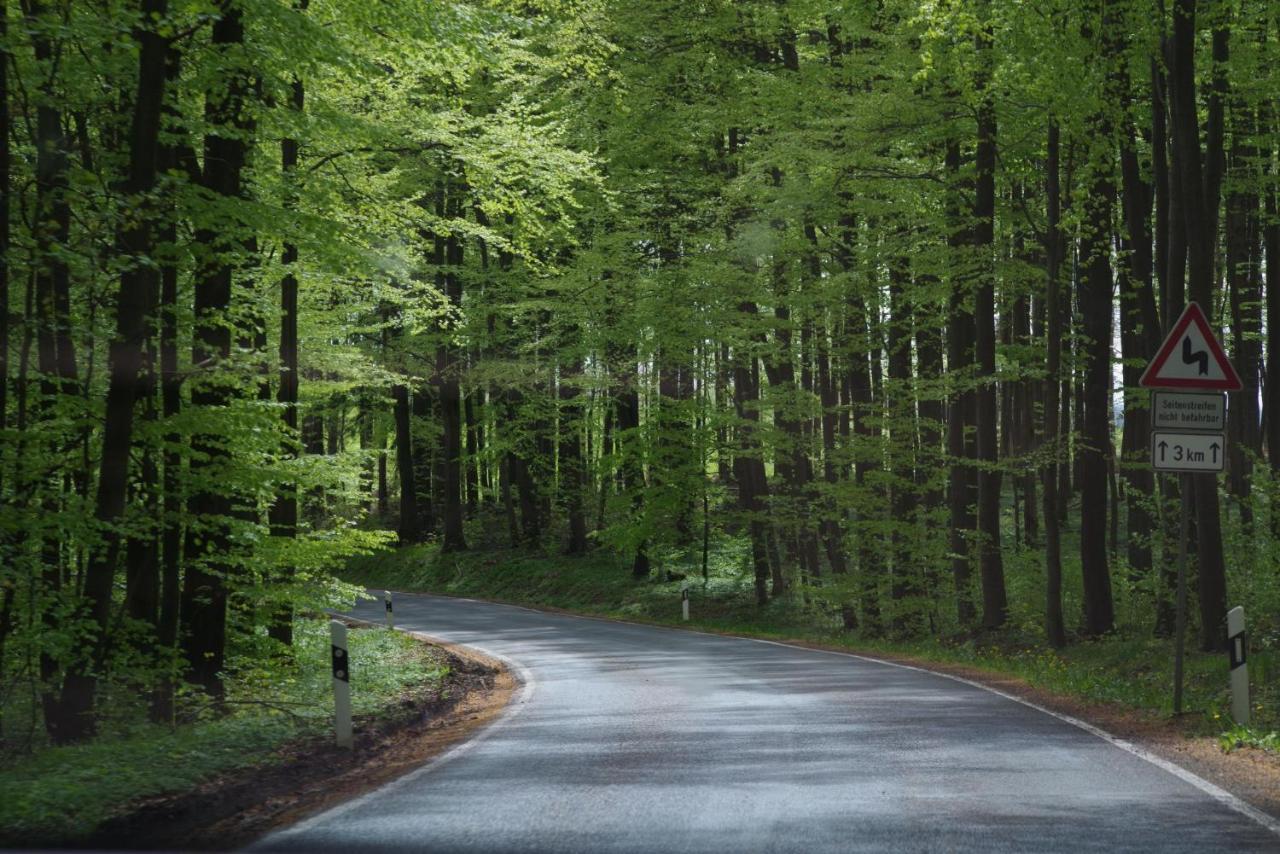Ferienwohnung Schuur - Harz Гассельфельде Екстер'єр фото