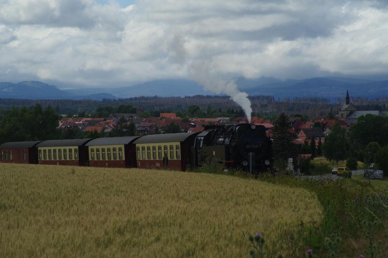 Ferienwohnung Schuur - Harz Гассельфельде Екстер'єр фото